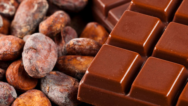 Chocolate bar and cocoa beans